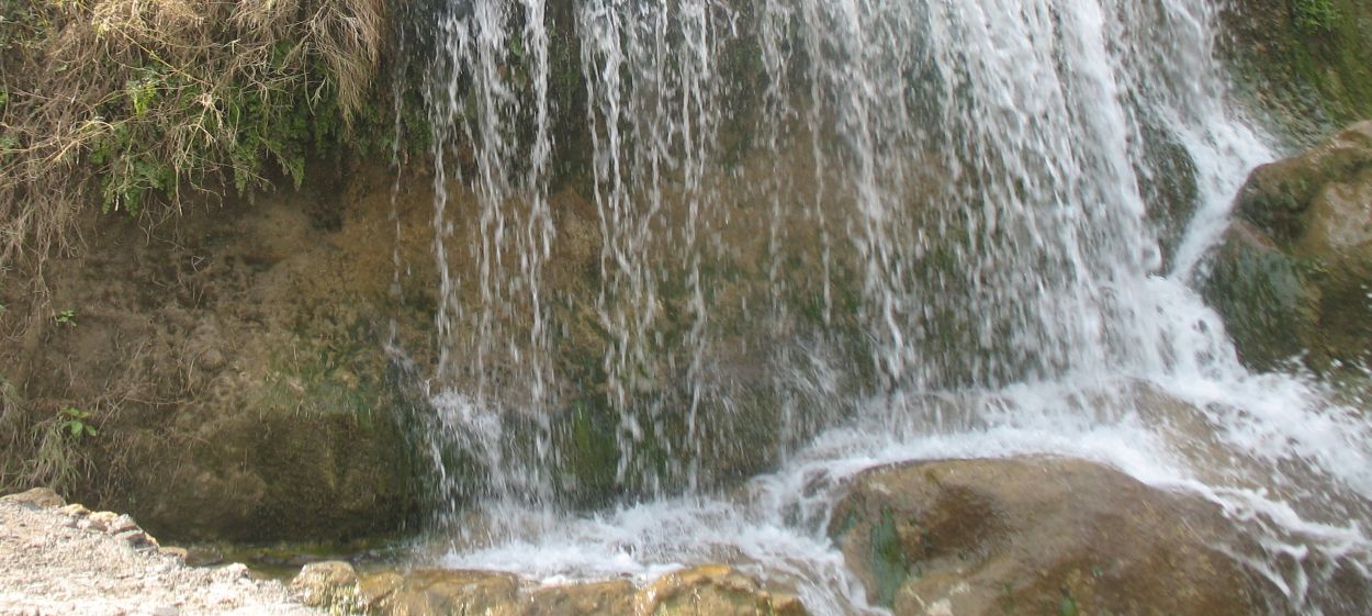 Waterfall in forest